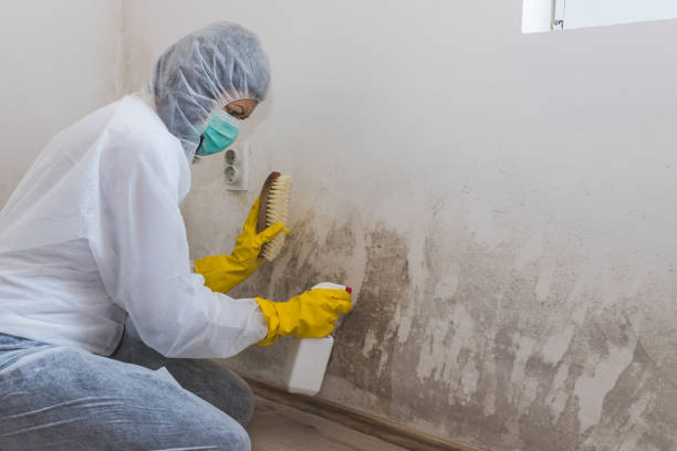 Best Bathroom Mold Remediation in Alpine, NJ