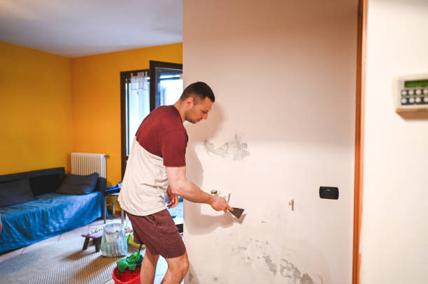 Best Attic Mold Remediation in Alpine, NJ