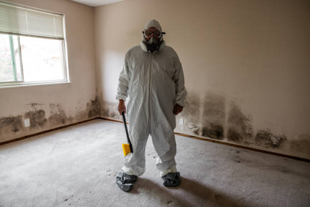 Best White Mold Remediation in Alpine, NJ